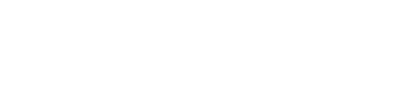 Mississauga Investment Group
